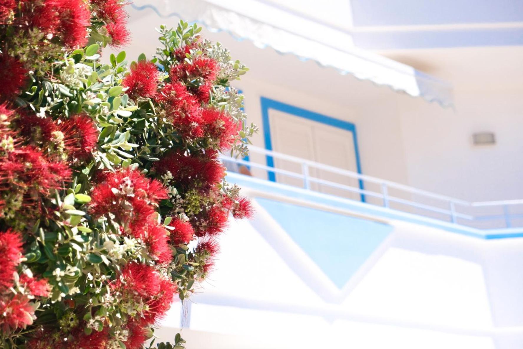Maldive Del Salento- Your Sunny Oasis In Torre Pali Eksteriør bilde